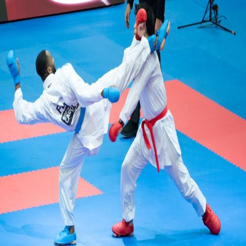 Karate Tournament Support